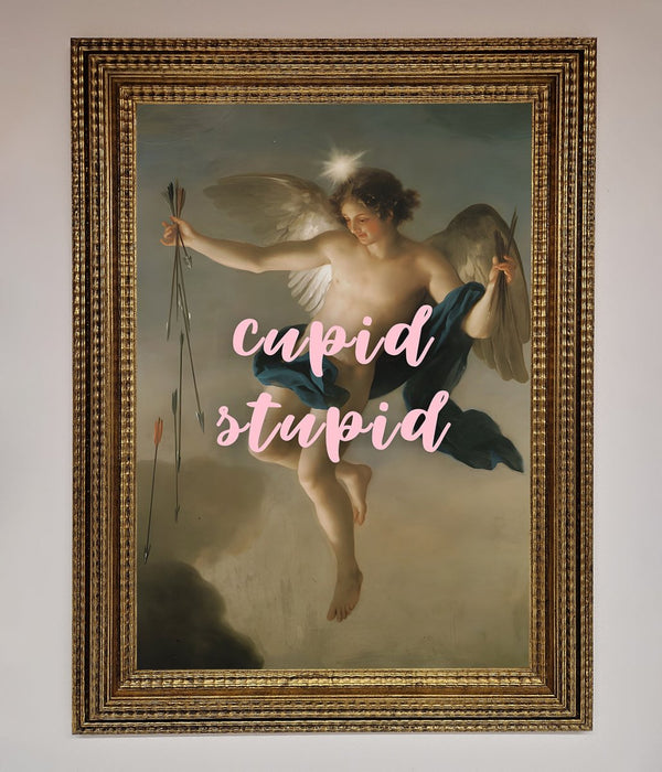 Cupid Stupid Framed Poster - Hi Society