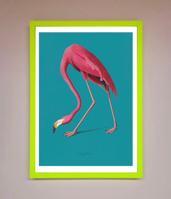 Flamingo Walks Blue Framed Print - Hi Society