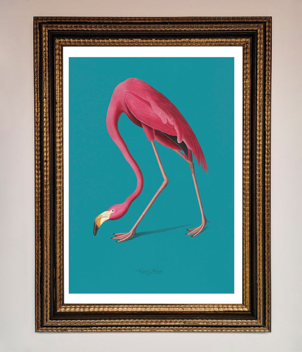 Flamingo Walks Blue Framed Print - Hi Society