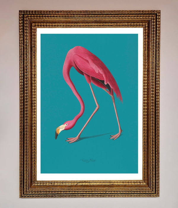 Flamingo Walks Blue Framed Print - Hi Society
