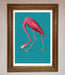 Flamingo Walks Blue Framed Print - Hi Society