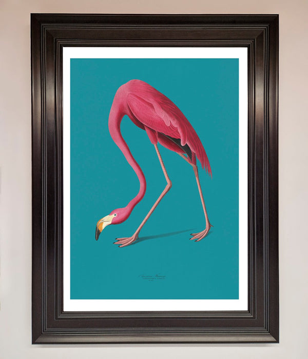Flamingo Walks Blue Framed Print - Hi Society
