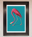 Flamingo Walks Blue Framed Print - Hi Society