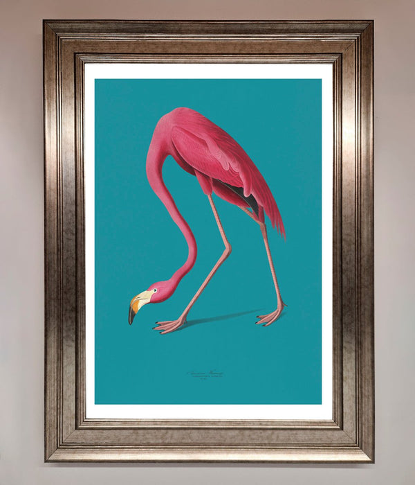 Flamingo Walks Blue Framed Print - Hi Society