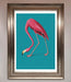 Flamingo Walks Blue Framed Print - Hi Society
