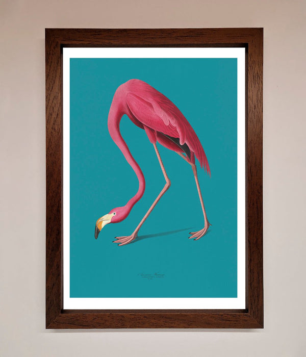Flamingo Walks Blue Framed Print - Hi Society