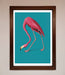 Flamingo Walks Blue Framed Print - Hi Society