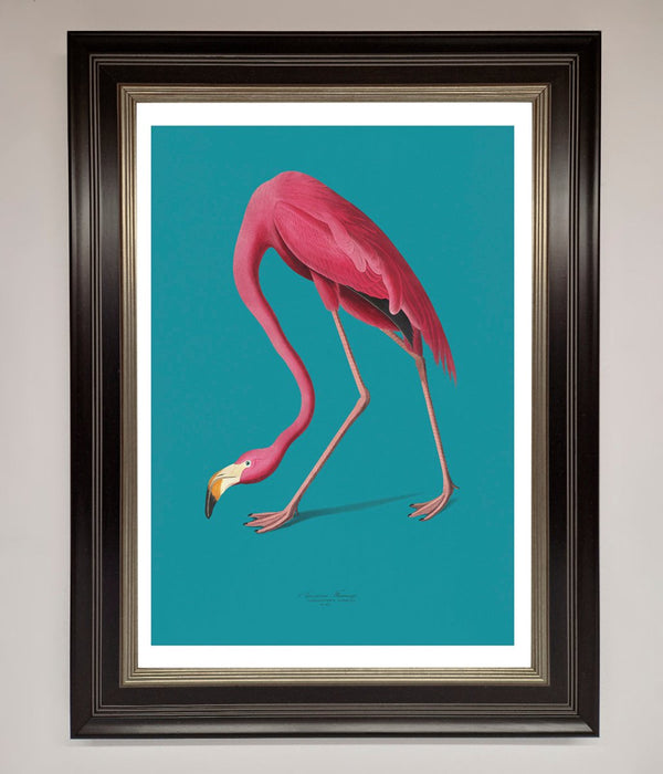 Flamingo Walks Blue Framed Print - Hi Society