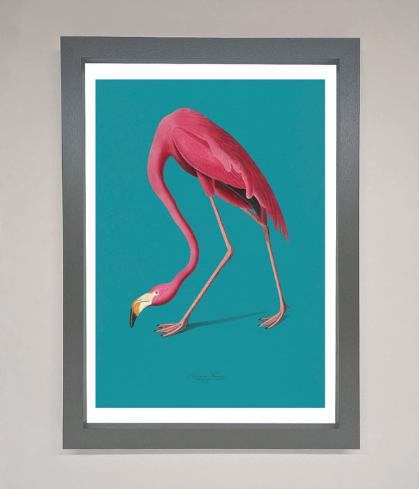 Flamingo Walks Blue Framed Print - Hi Society