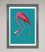 Flamingo Walks Blue Framed Print - Hi Society