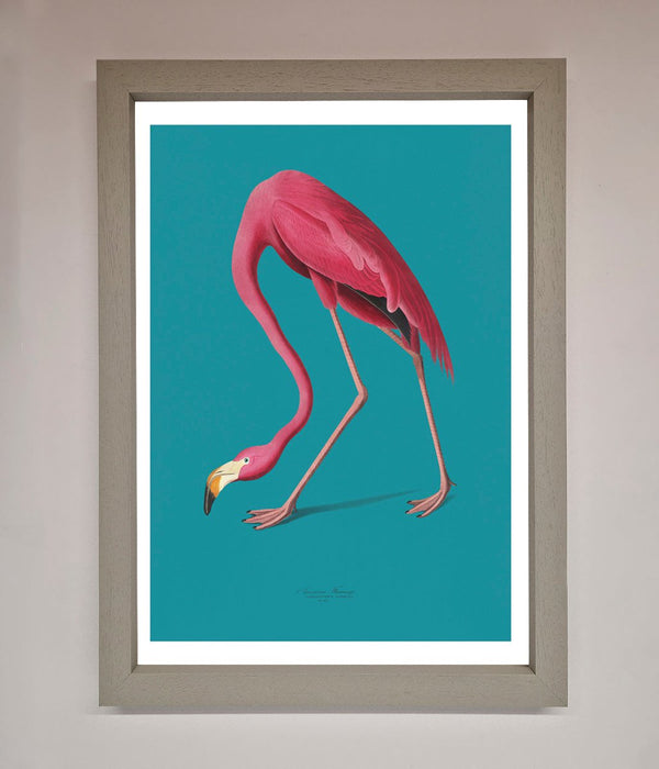 Flamingo Walks Blue Framed Print - Hi Society