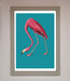 Flamingo Walks Blue Framed Print - Hi Society