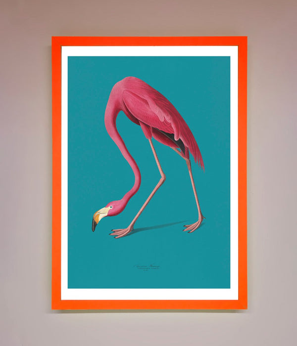 Flamingo Walks Blue Framed Print - Hi Society