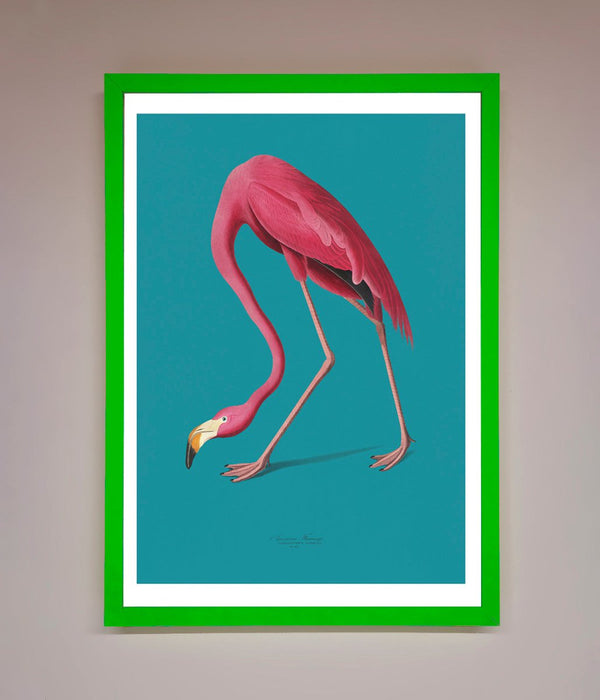 Flamingo Walks Blue Framed Print - Hi Society