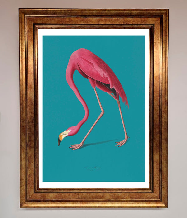 Flamingo Walks Blue Framed Print - Hi Society