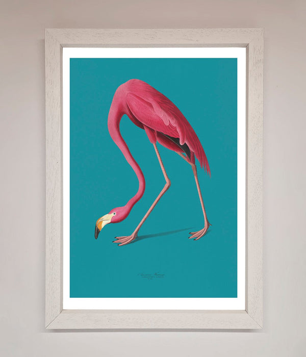 Flamingo Walks Blue Framed Print - Hi Society