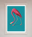 Flamingo Walks Blue Framed Print - Hi Society