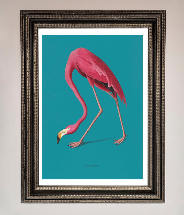 Flamingo Walks Blue Framed Print - Hi Society
