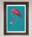 Flamingo Walks Blue Framed Print - Hi Society