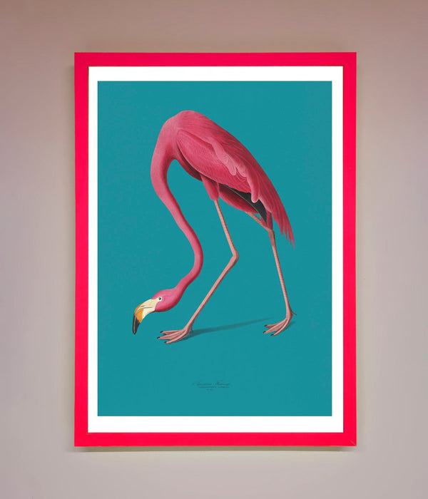 Flamingo Walks Blue Framed Print - Hi Society
