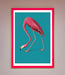 Flamingo Walks Blue Framed Print - Hi Society
