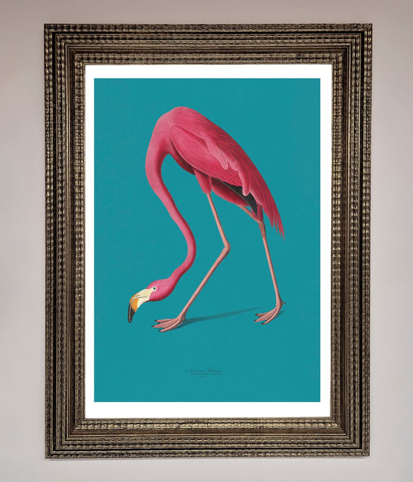 Flamingo Walks Blue Framed Print - Hi Society