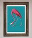 Flamingo Walks Blue Framed Print - Hi Society