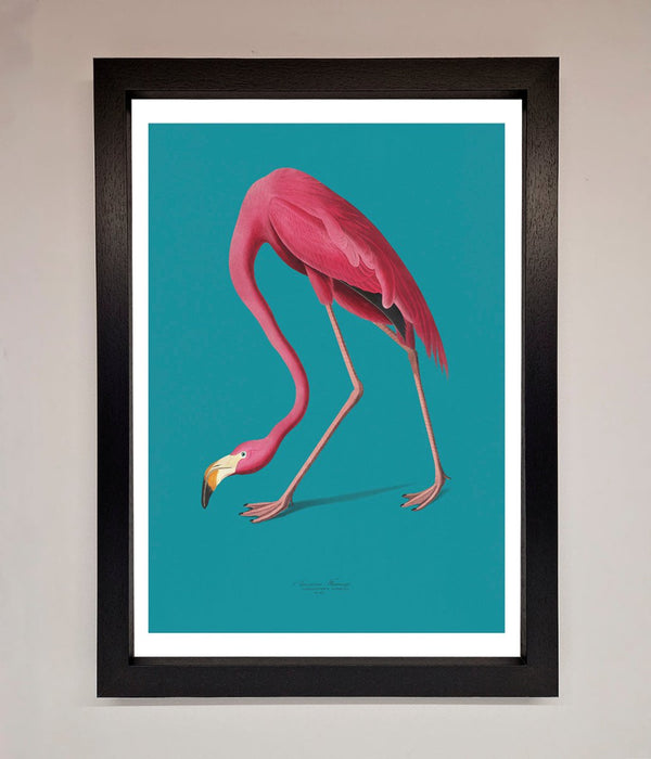 Flamingo Walks Blue Framed Print - Hi Society
