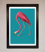Flamingo Walks Blue Framed Print - Hi Society