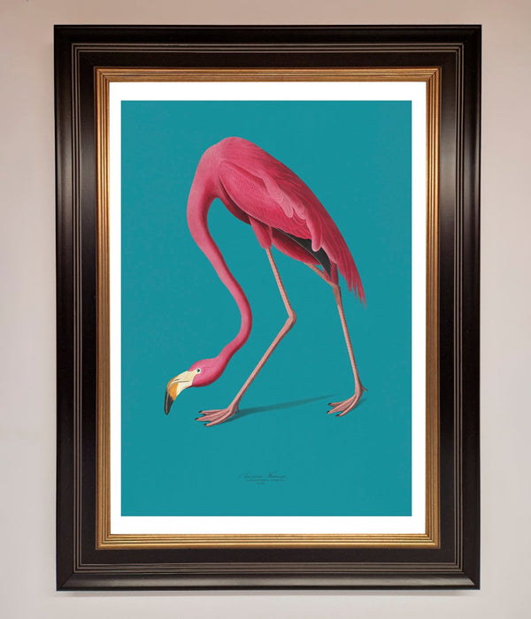 Flamingo Walks Blue Framed Print - Hi Society