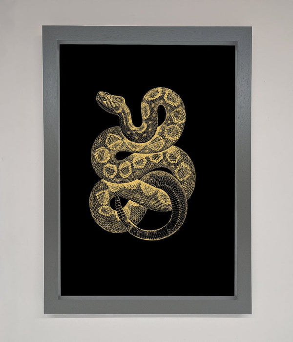 Golden Serpent Framed Wall Art - Hi Society