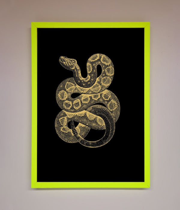 Golden Serpent Framed Wall Art - Hi Society