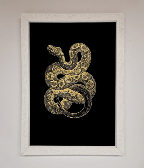 Golden Serpent Framed Wall Art - Hi Society