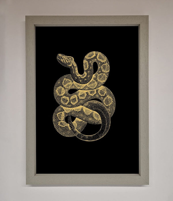Golden Serpent Framed Wall Art - Hi Society