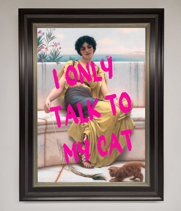 I Only Talk To My Cat Framed Wall Art - Hi Society