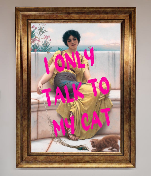 I Only Talk To My Cat Framed Wall Art - Hi Society