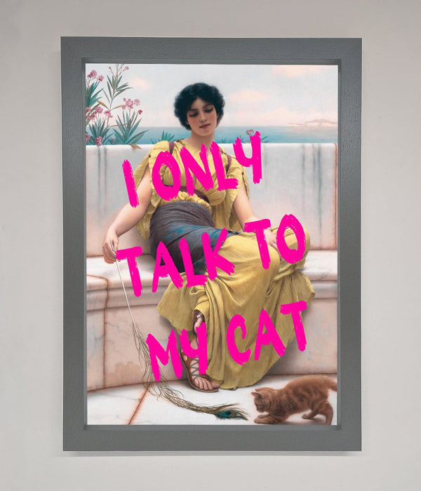 I Only Talk To My Cat Framed Wall Art - Hi Society