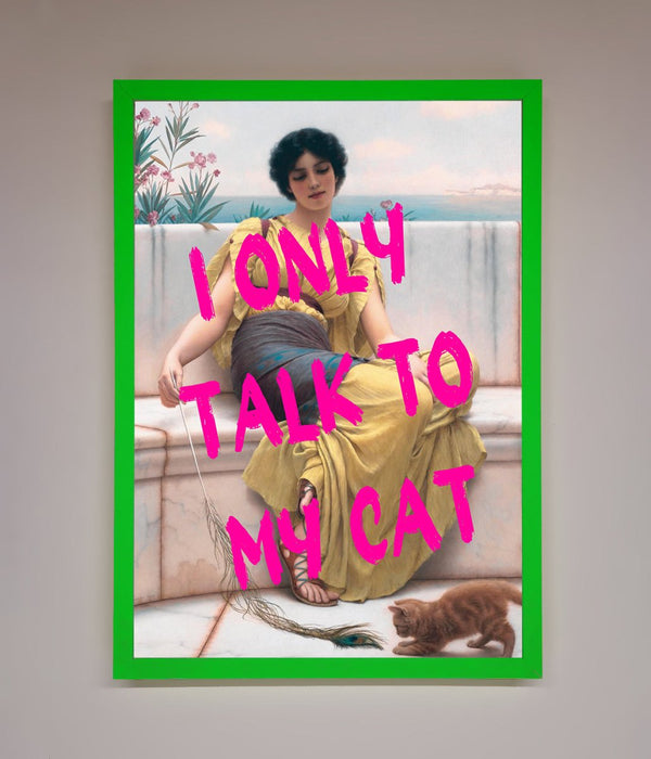 I Only Talk To My Cat Framed Wall Art - Hi Society