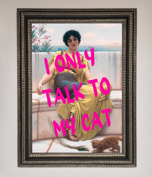 I Only Talk To My Cat Framed Wall Art - Hi Society