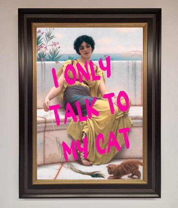 I Only Talk To My Cat Framed Wall Art - Hi Society