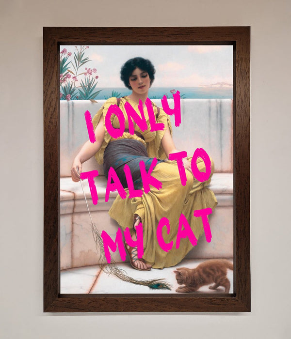 I Only Talk To My Cat Framed Wall Art - Hi Society
