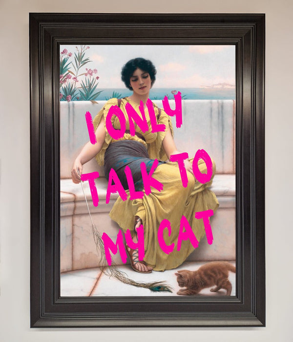 I Only Talk To My Cat Framed Wall Art - Hi Society
