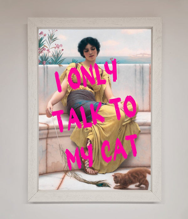 I Only Talk To My Cat Framed Wall Art - Hi Society