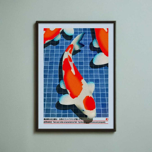 Koi Fish Print - Art Prints