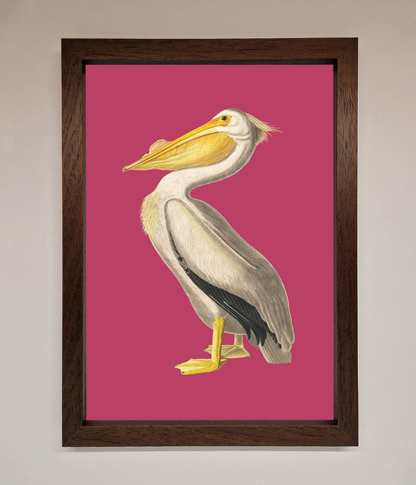 Pelican On Pink Framed Poster - Hi Society
