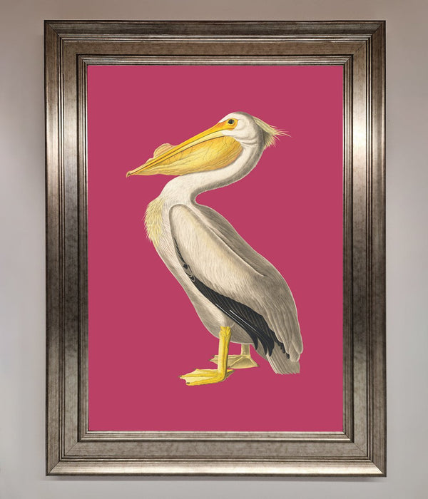 Pelican On Pink Framed Poster - Hi Society