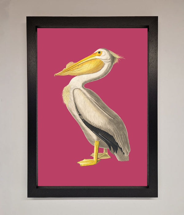 Pelican On Pink Framed Poster - Hi Society