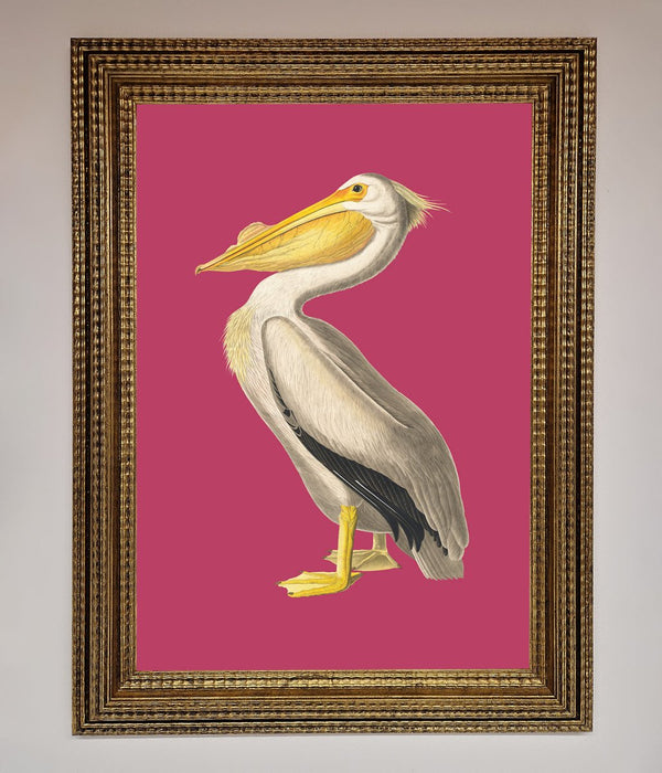 Pelican On Pink Framed Poster - Hi Society