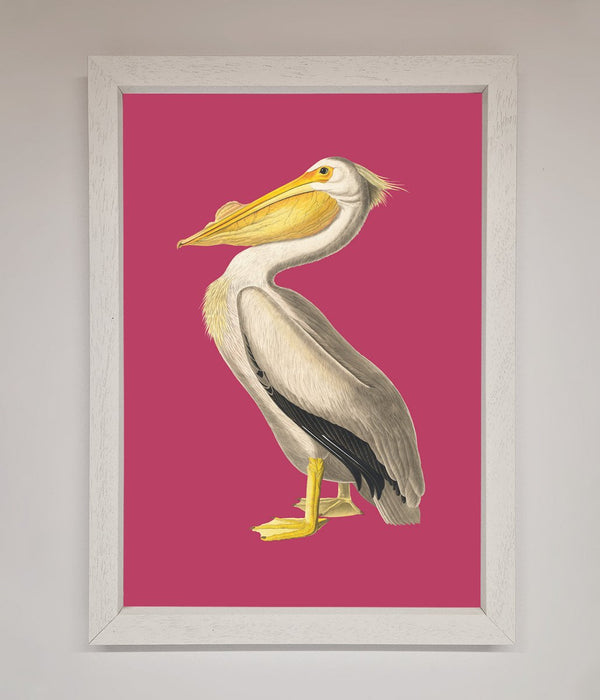 Pelican On Pink Framed Poster - Hi Society