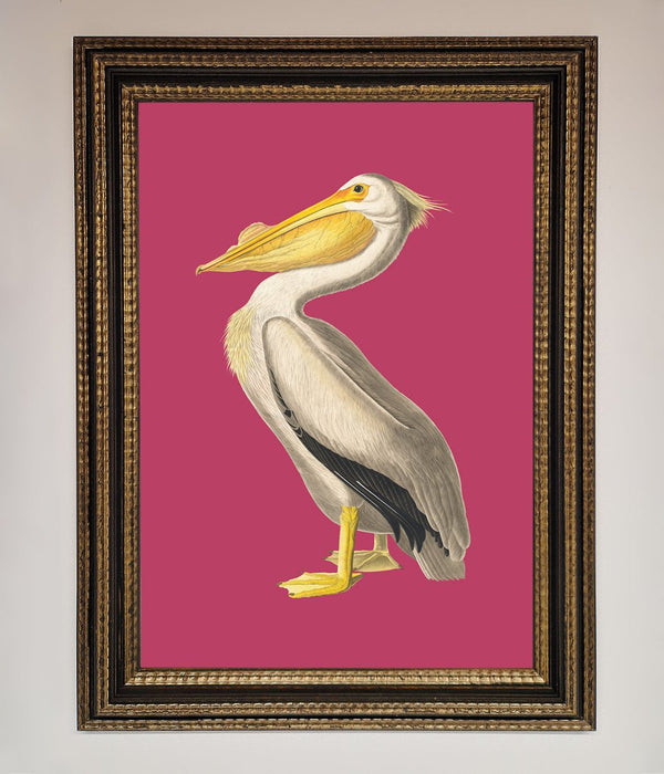 Pelican On Pink Framed Poster - Hi Society
